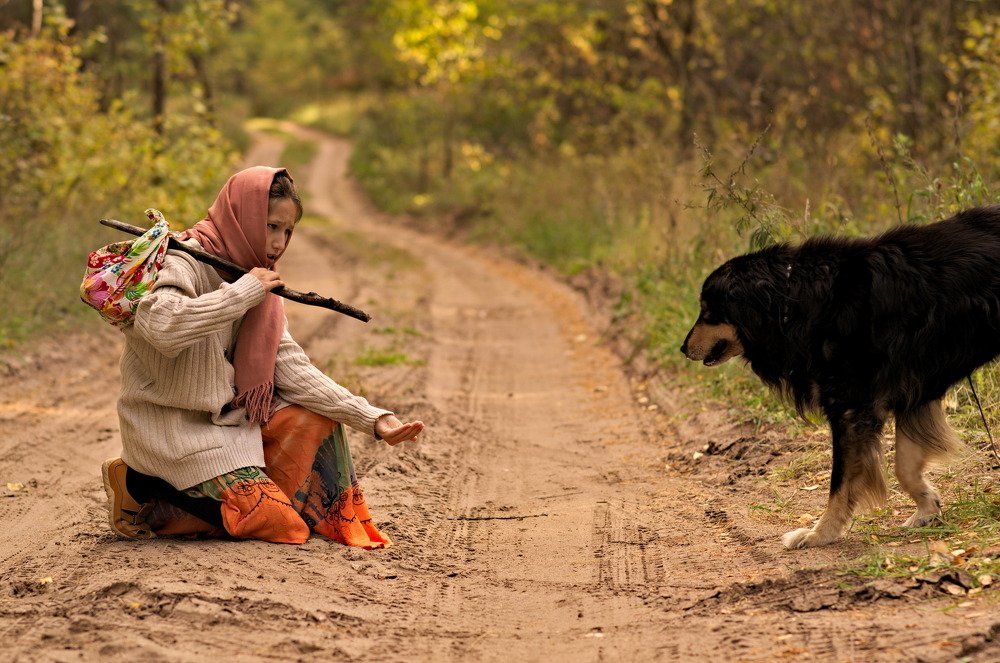Странница с собакой. Знакомство.