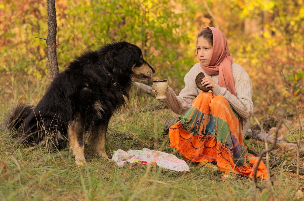 Странница с собакой. Обед.