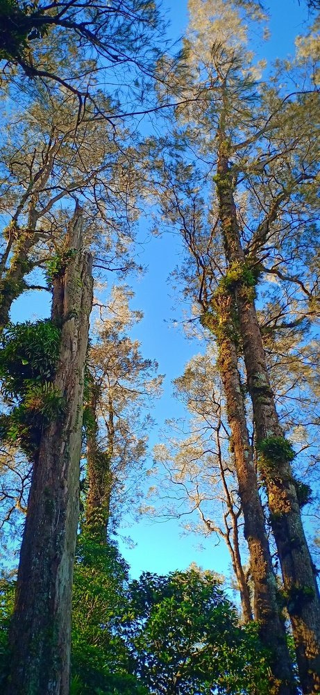 Photograph by Putu Wirya