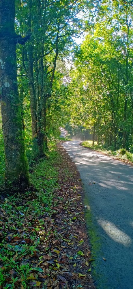 Photograph by Putu Wirya