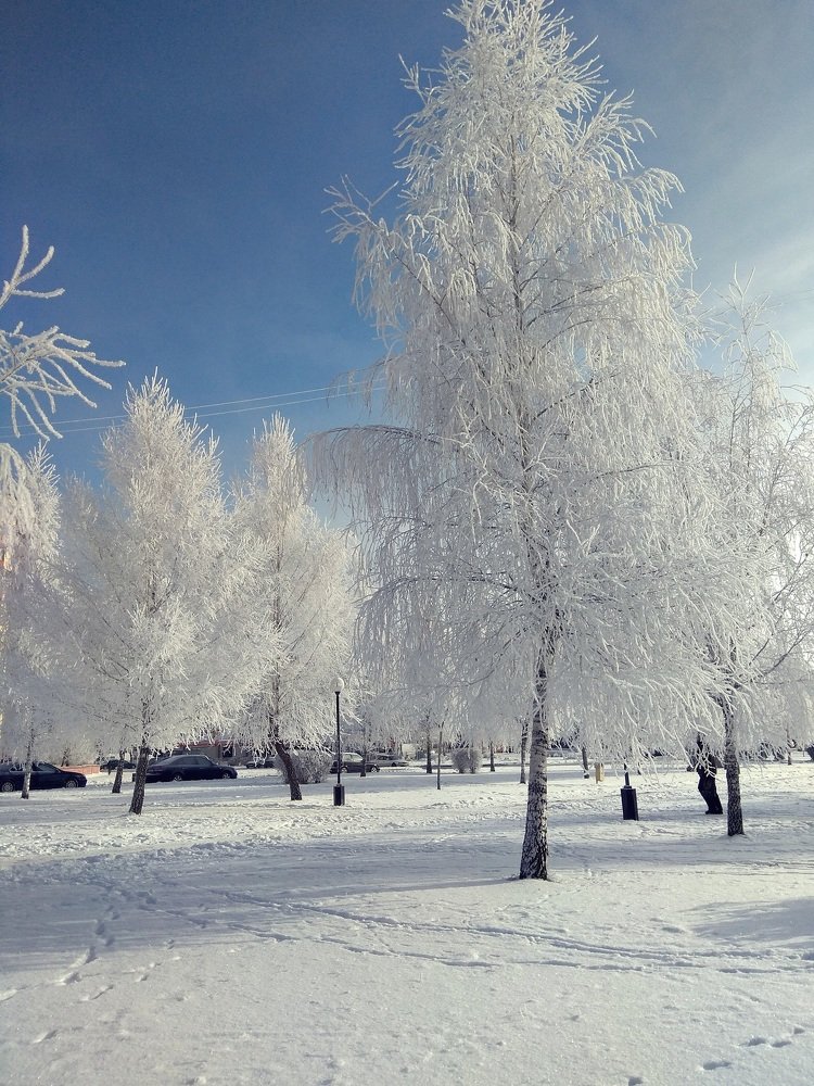 зимушка - зима