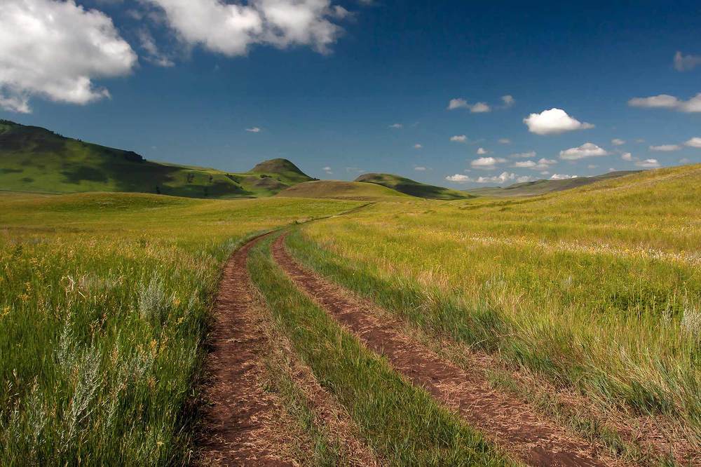 Photograph by Олег Тетерин