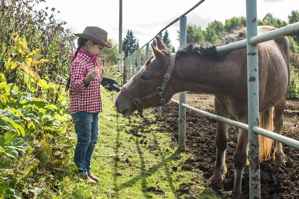 Photograph by Алексей Новоселов