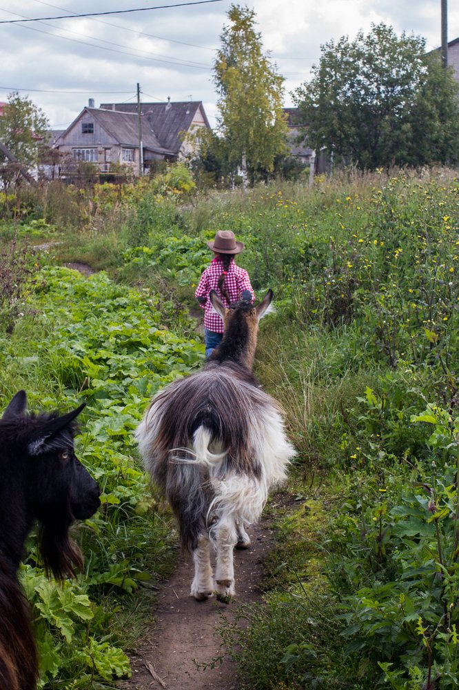 Photograph by Алексей Новоселов