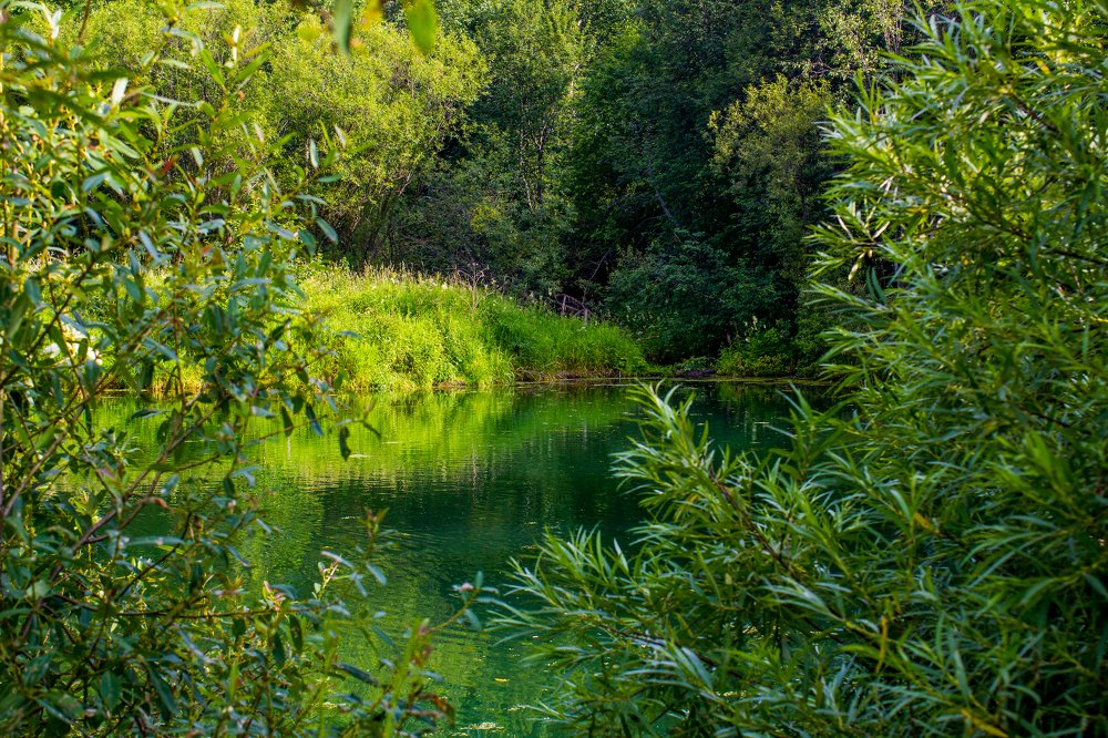 Photograph by Алексей Новоселов