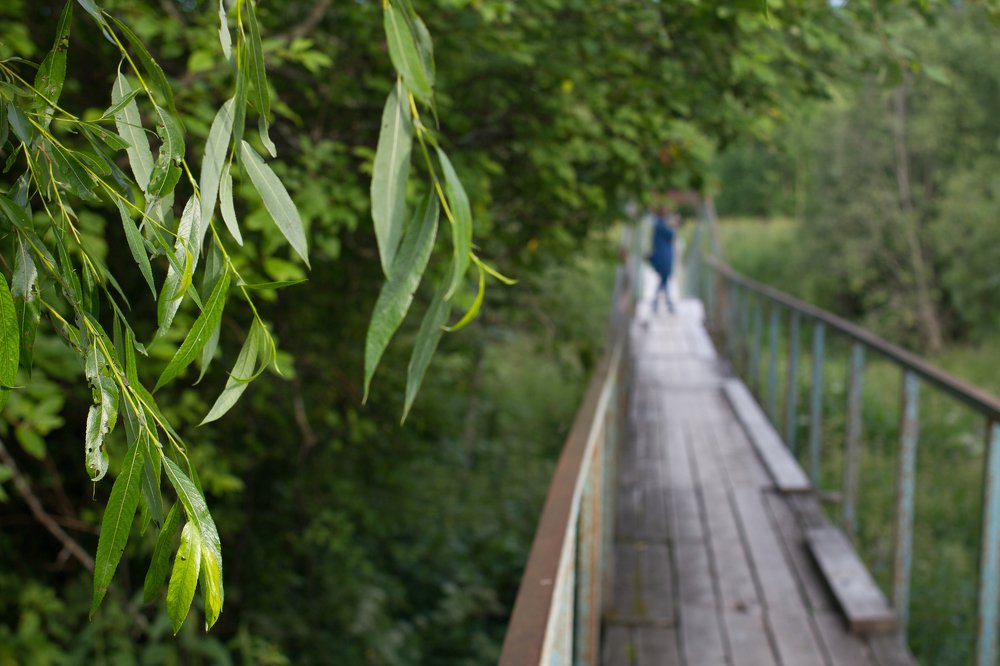 Photograph by Алексей Новоселов