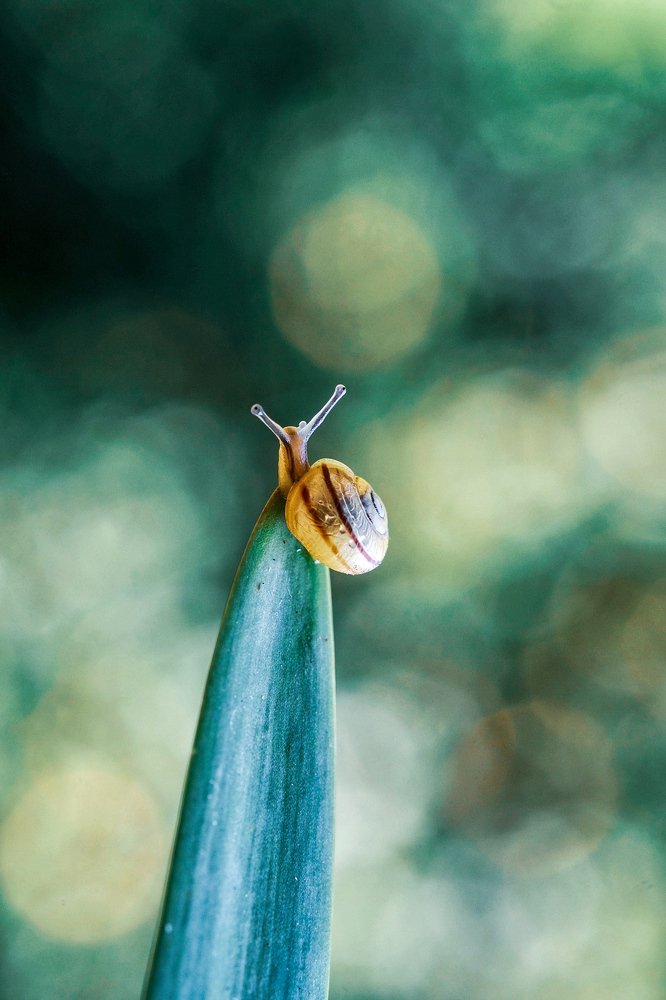 Photograph by Marian Lázaro