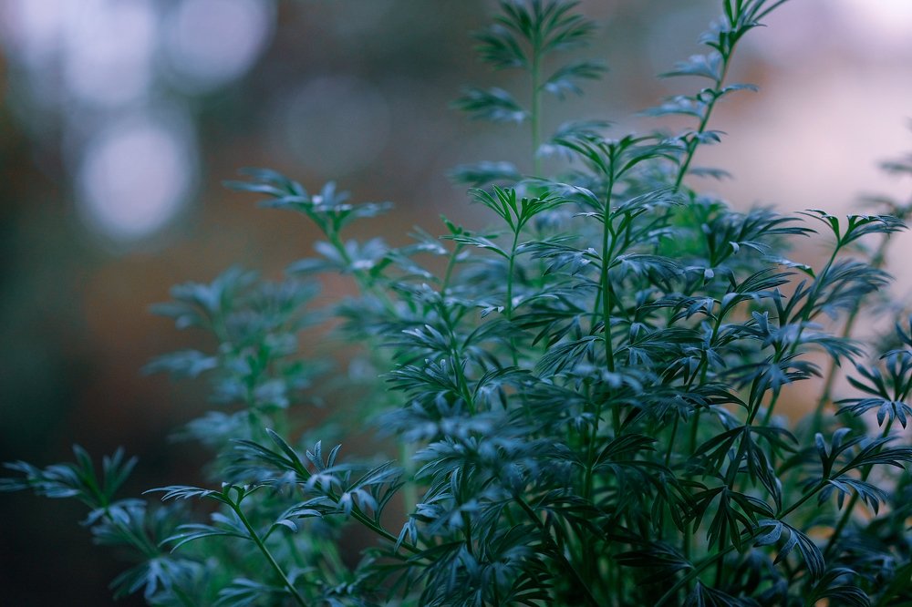 Photograph by Marian Lázaro