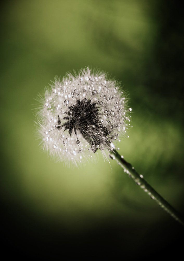 Photograph by Marian Lázaro