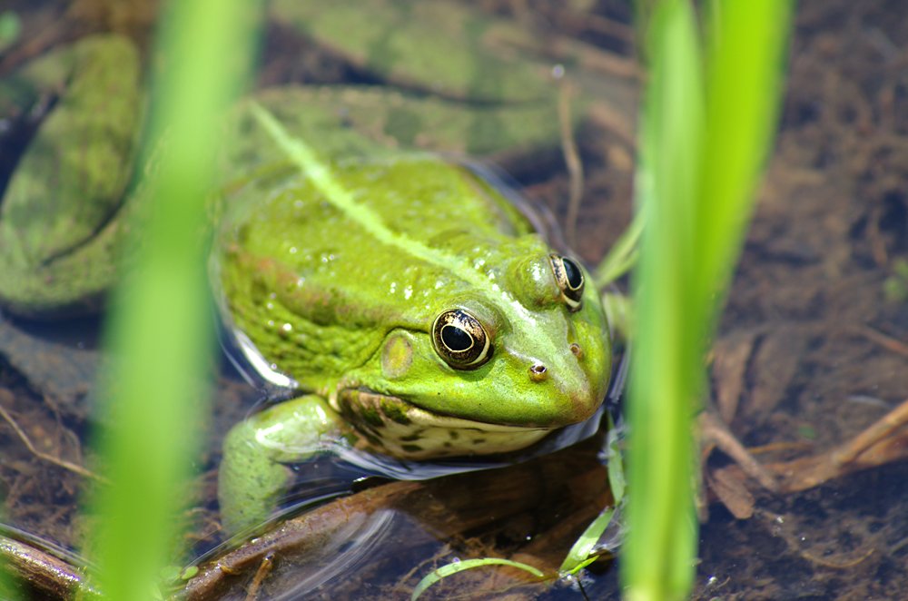 Photograph by Ionika Mink