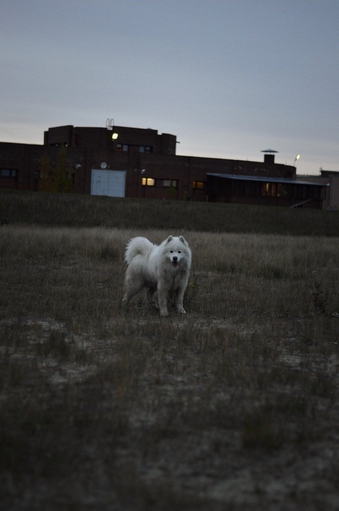 Photograph by Denis Evlanov