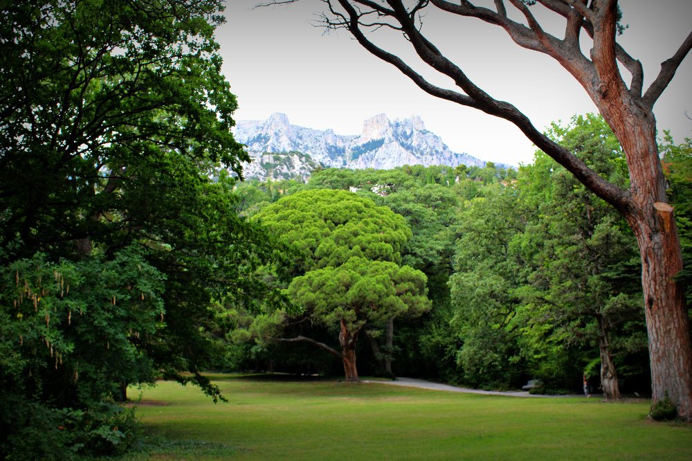 Photograph by Galina Tsmyg