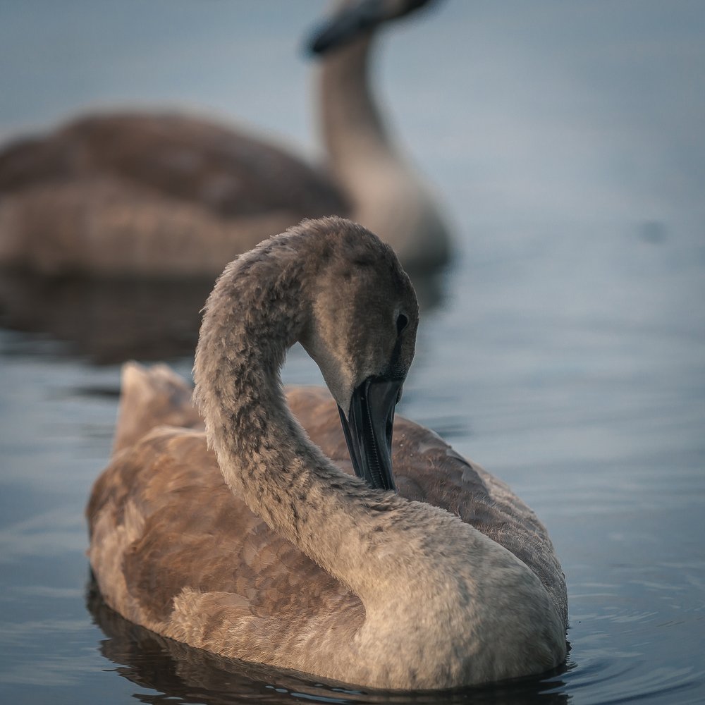 Photograph by Антон Малыгин