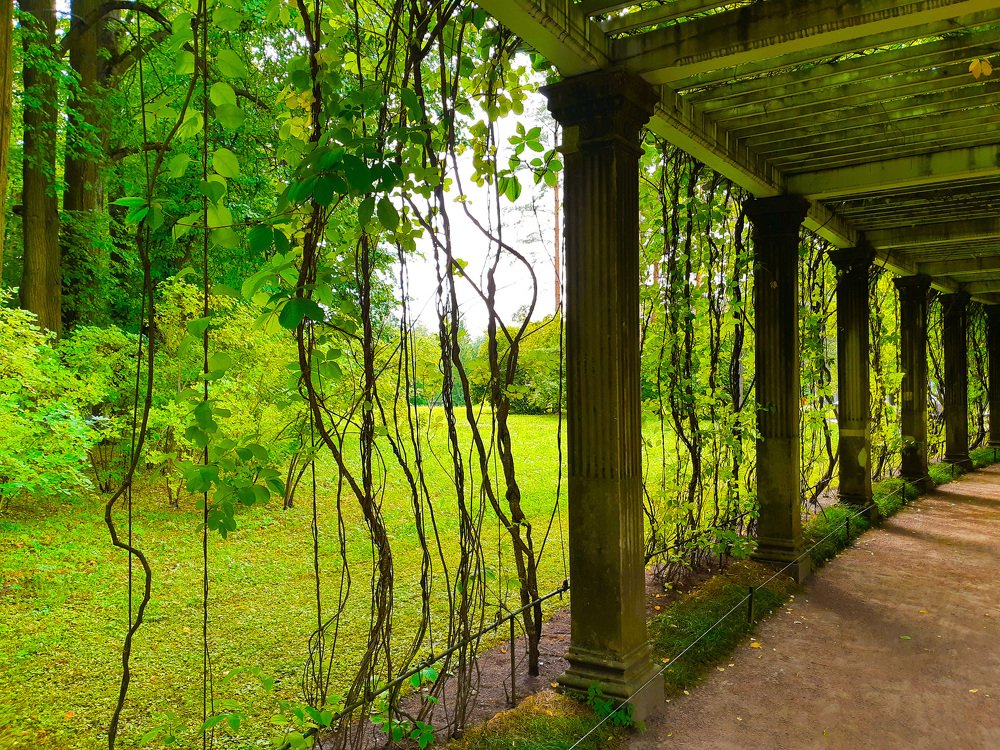 columns in the garden
