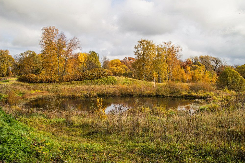 Photograph by Александра Шайдурова