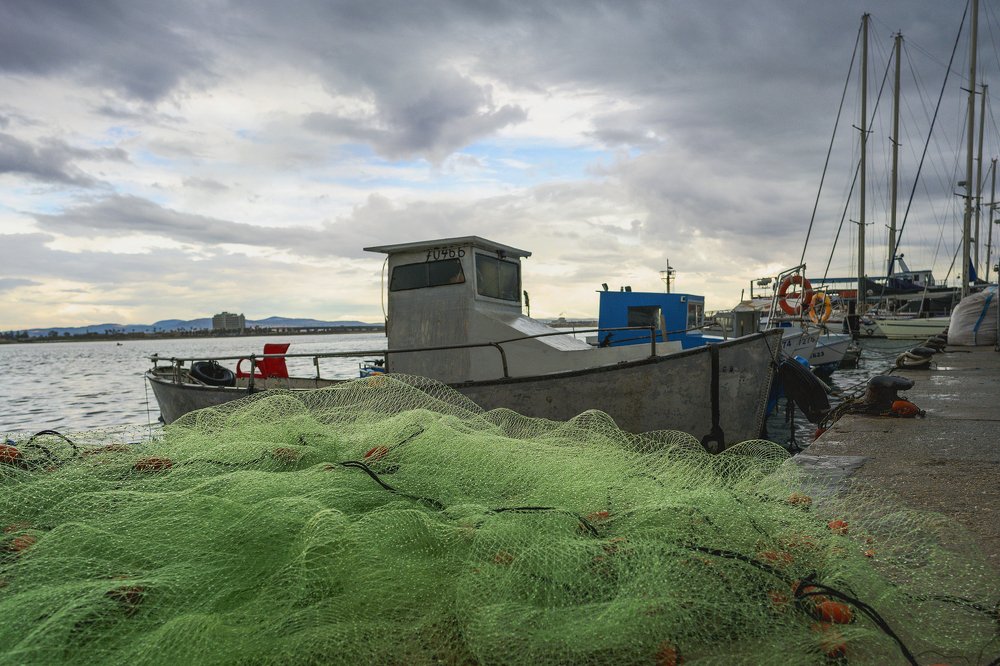 Photograph by Genadi Cobzar