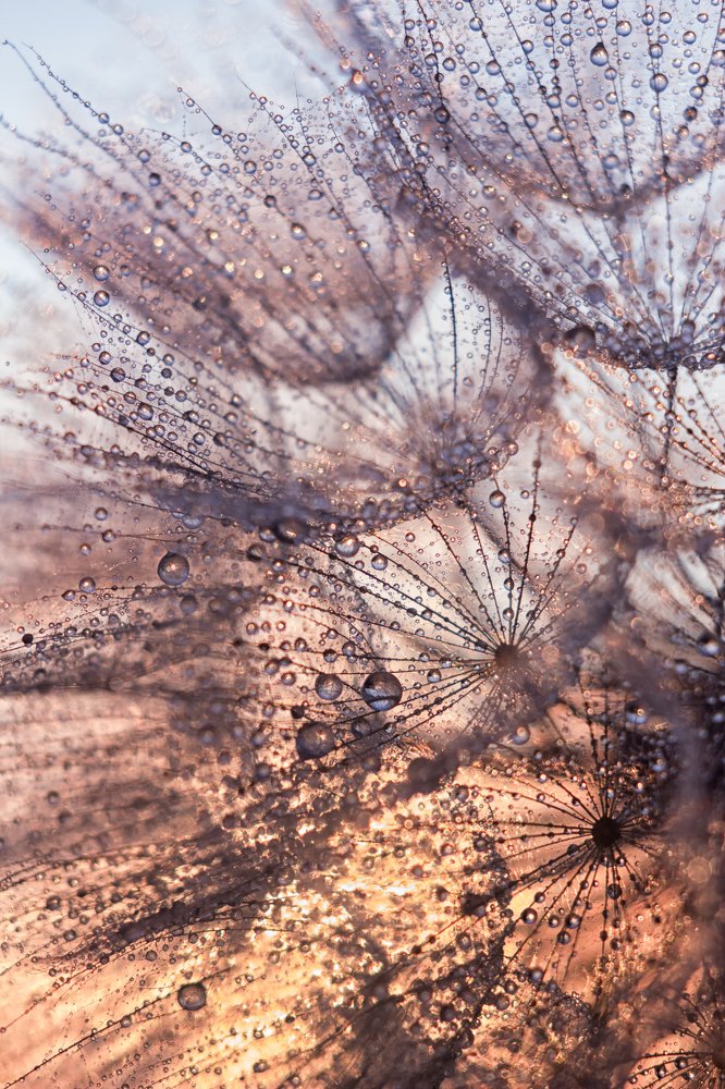 Россыпь бриллиантов.