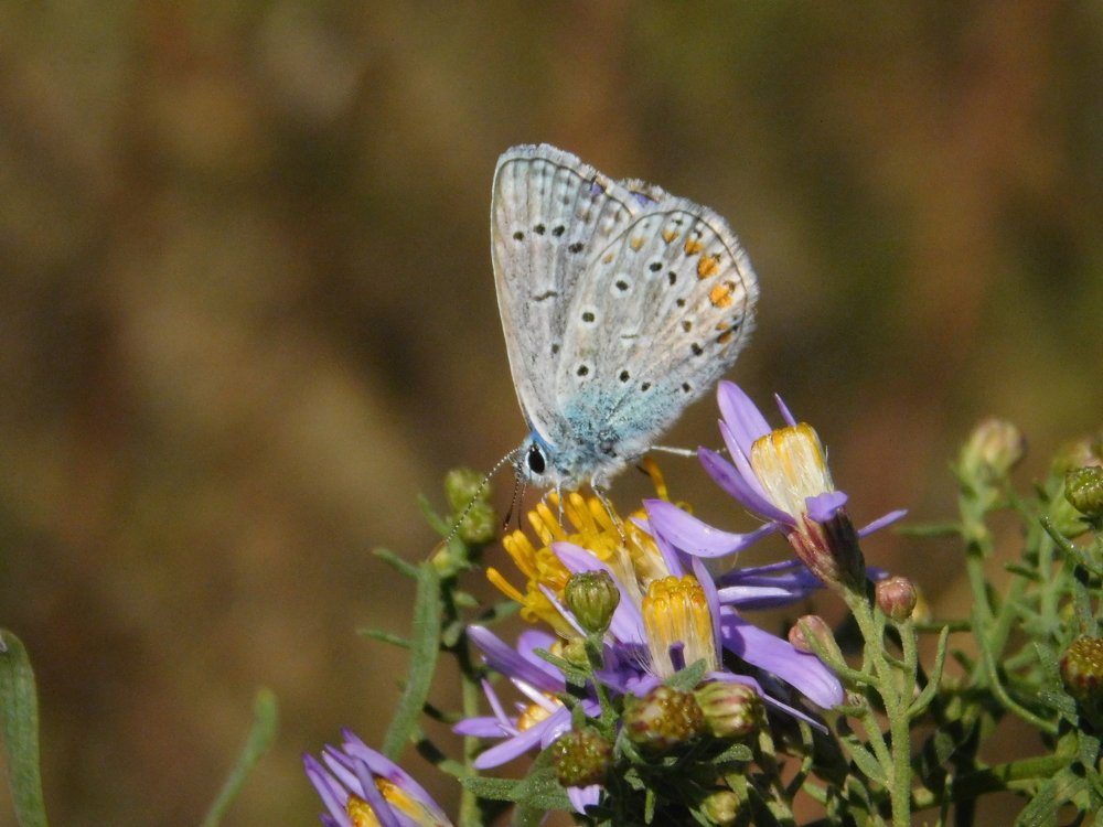 Photograph by Margit Nagy