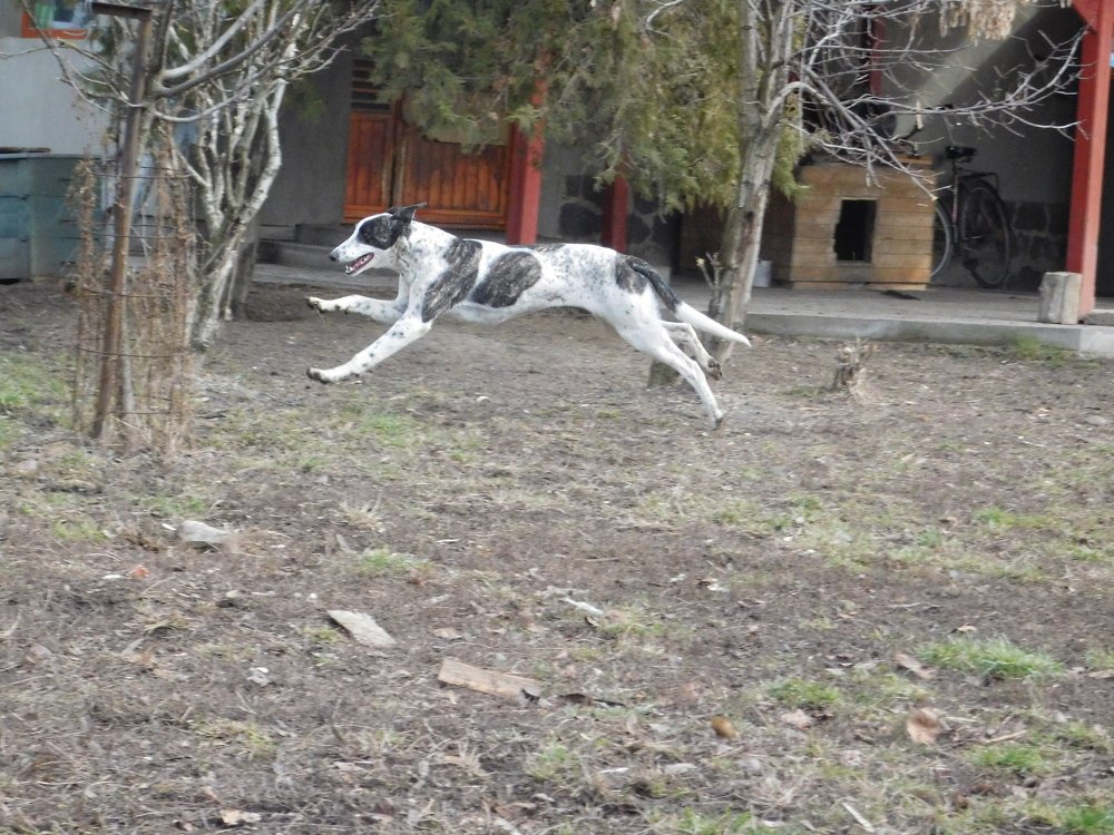 Photograph by Margit Nagy