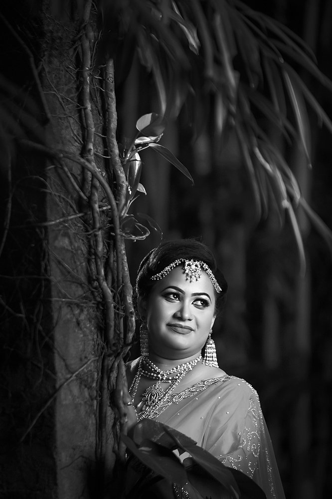 Photograph by Srimal Dissanayake