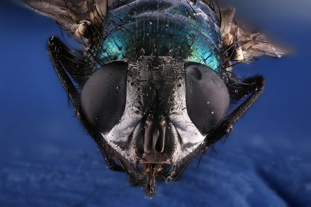 Photograph by Борис Фотомания