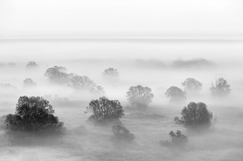 Туманная долина.