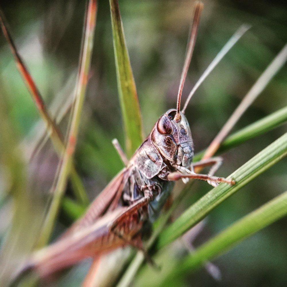 Photograph by Ольга Мажарук