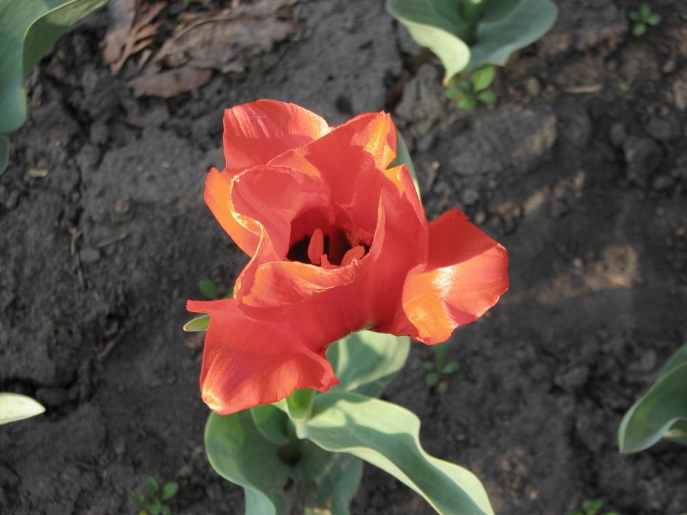 Фотография автора Владимир Брызгунов