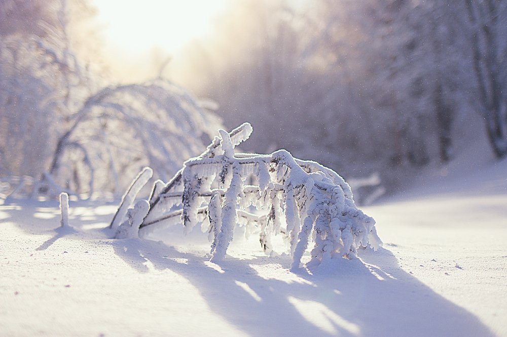 Photograph by Valeria Eremeeva