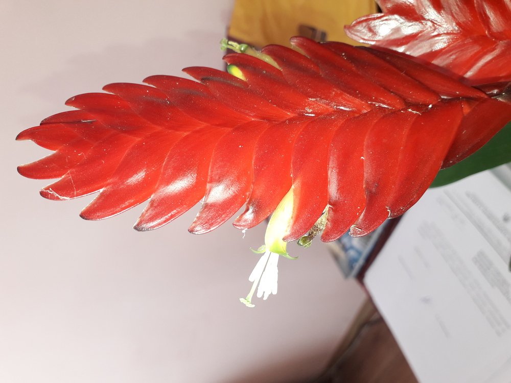 Photograph by Liudmila Usik