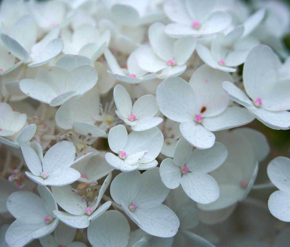Фотография автора Александр Медведев