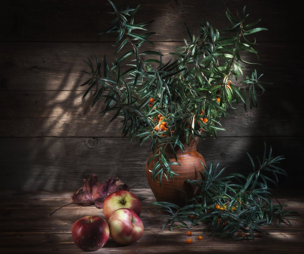 Фотография автора Алексей Ковалев