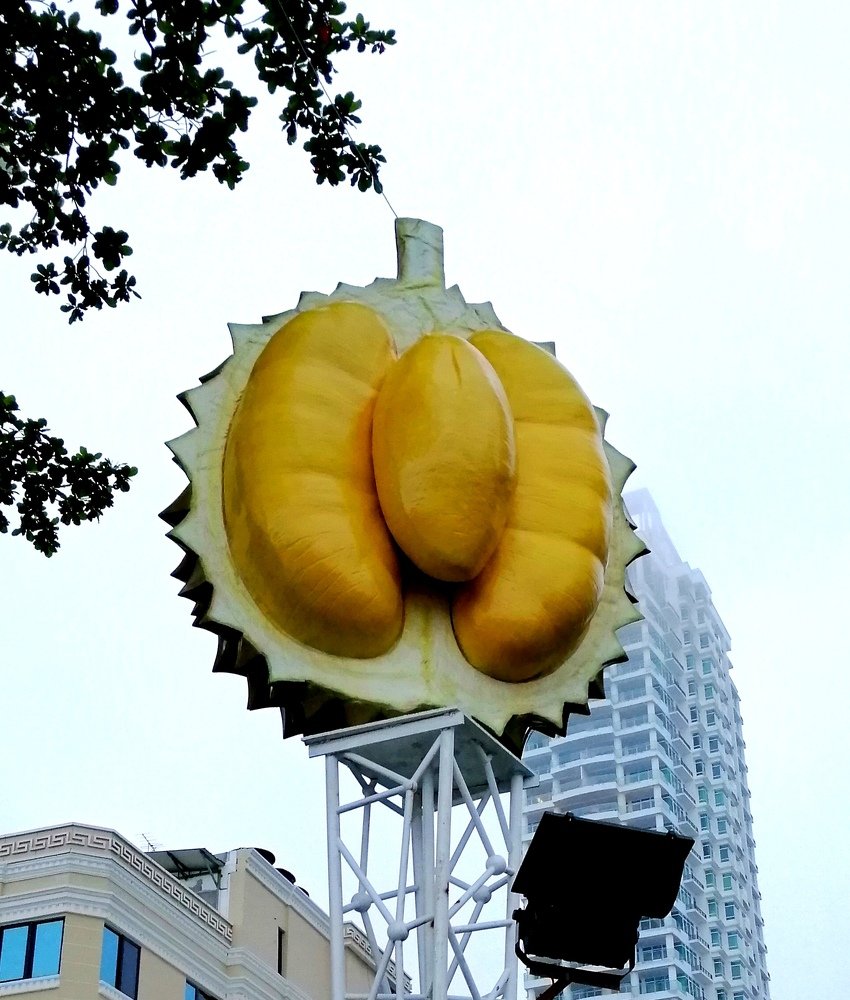 Photograph by Kim Lai Yeap