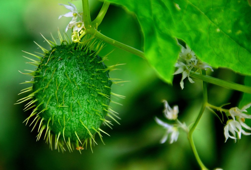 Photograph by Анатолий Хальман