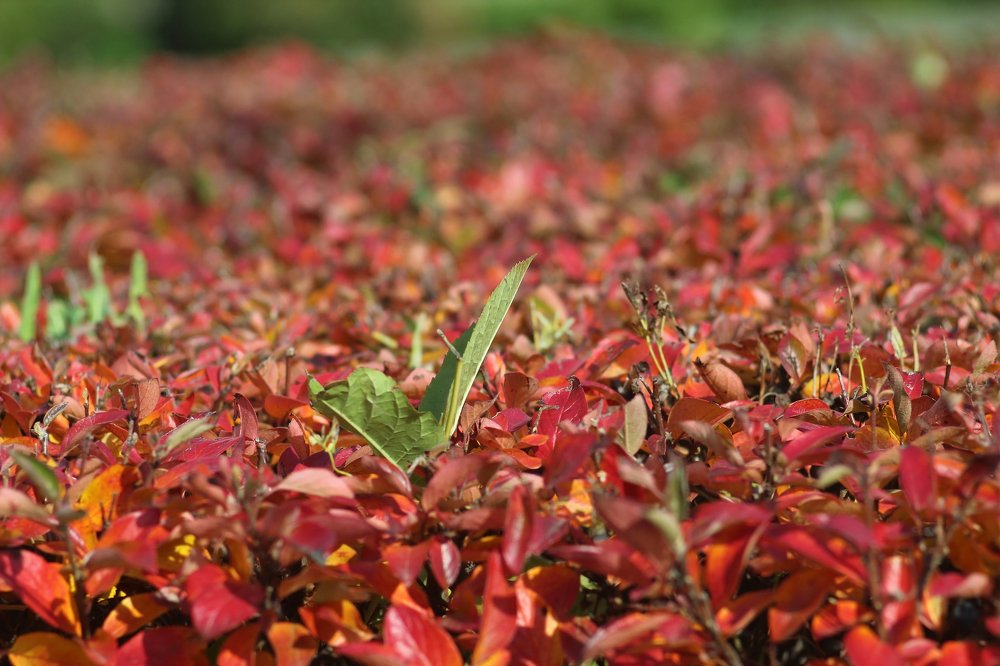 Фотография автора Дарина