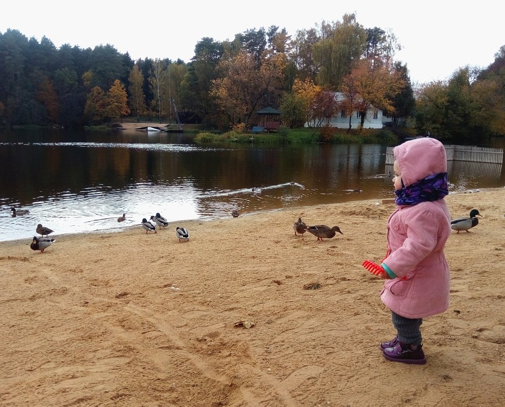 Photograph by Светлана Барцулёва