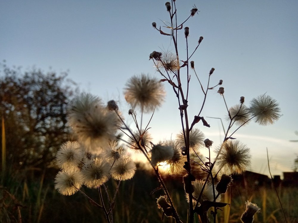 Закат под другим углом.