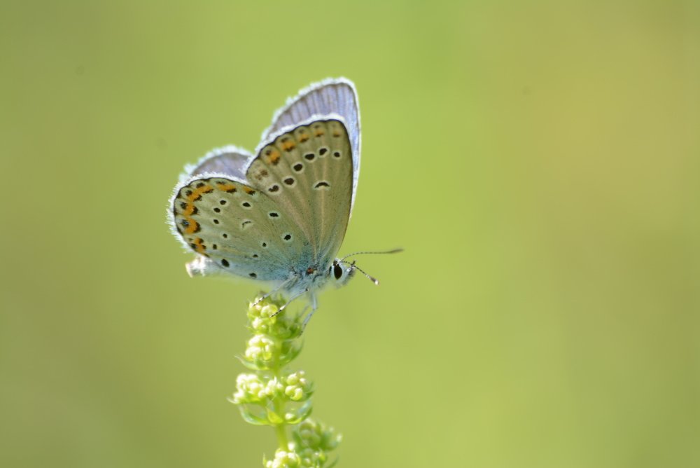 Photograph by Gülşen  Mutlu