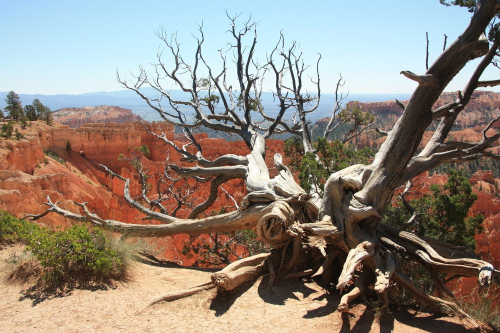 Photograph by Людмила Травина