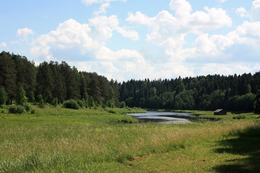 Photograph by Людмила Травина