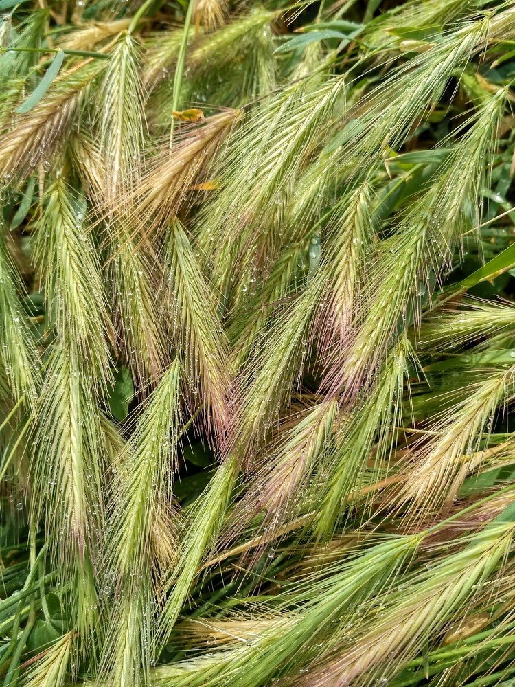 Photograph by Мила