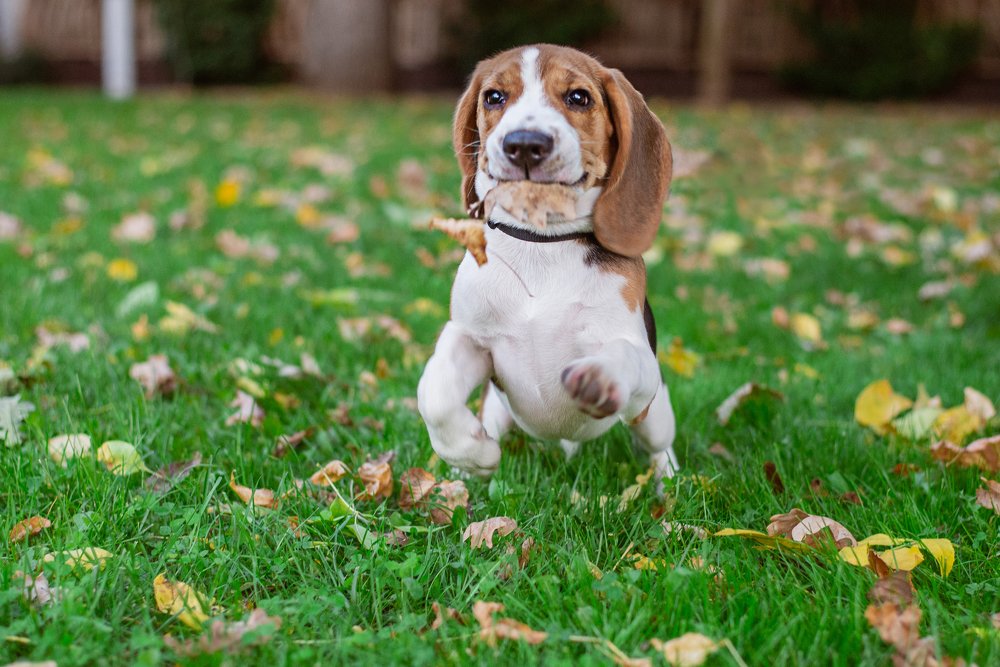 Photograph by Анастасия Мельник