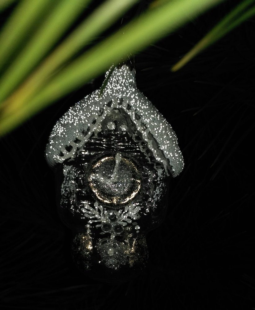 Photograph by Мила