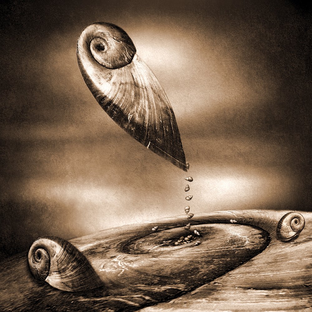 Photograph by Сергей Зырянов