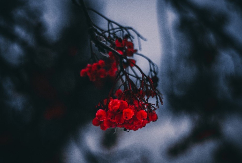 Photograph by Ухарцев Ухарцев