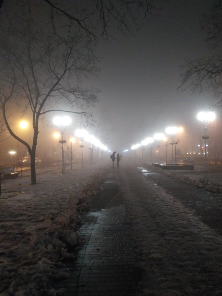 Photograph by Мила