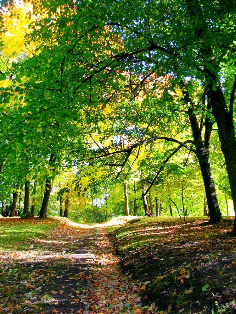 Осень в парке