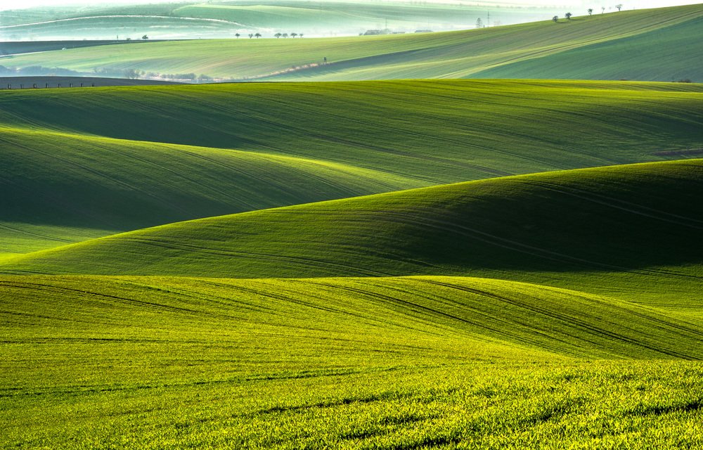 Photograph by ПАВЕЛ