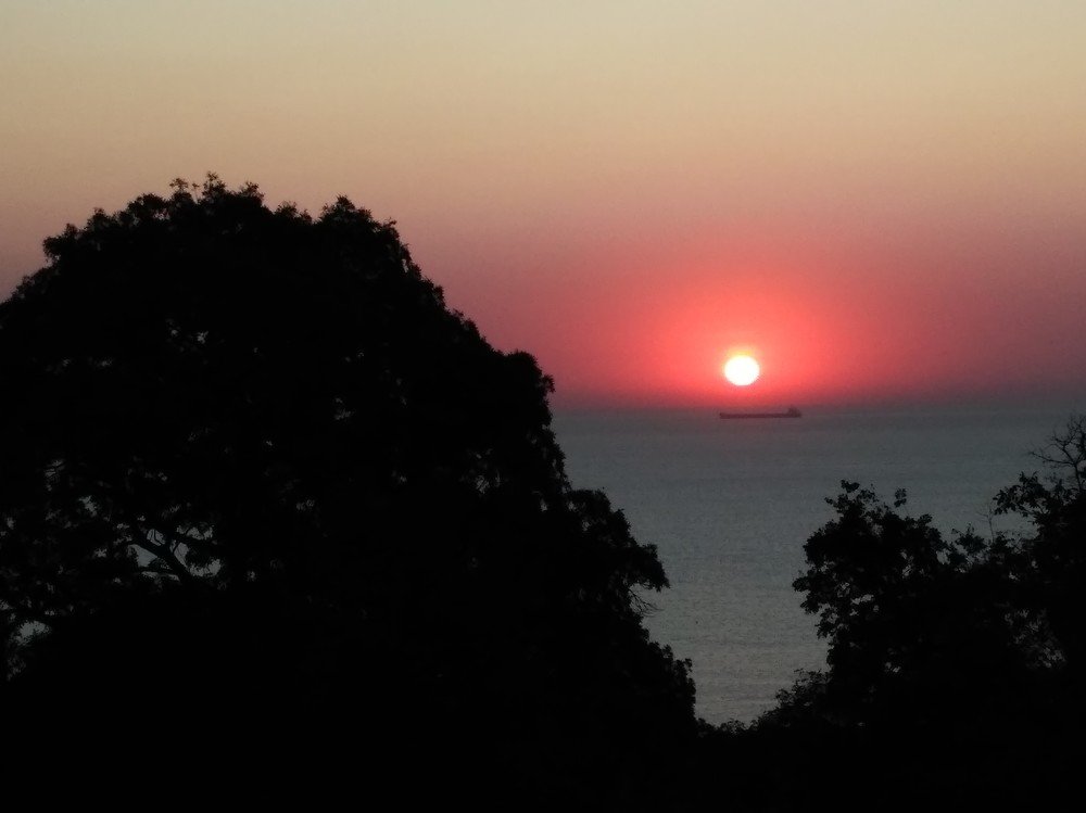 Photograph by Мила