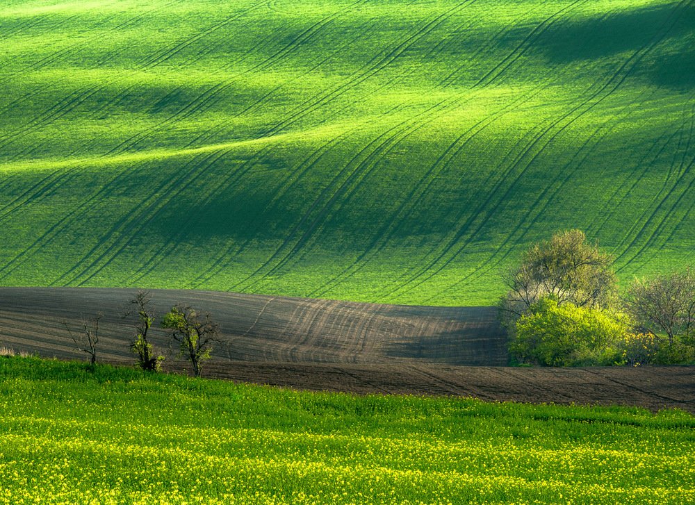 Photograph by ПАВЕЛ